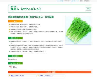 都美人（みやこびじん）の画像
