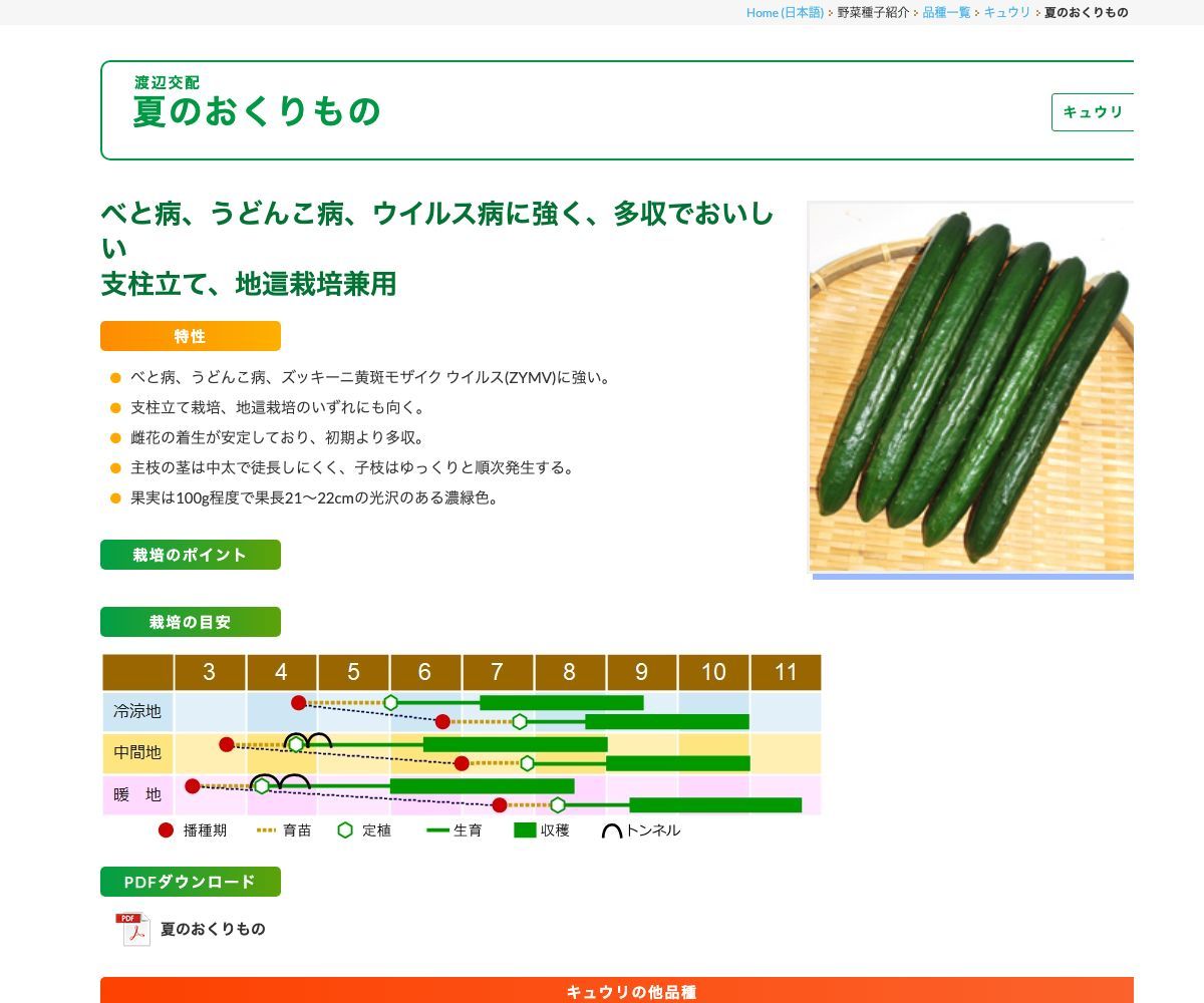 夏のおくりもの