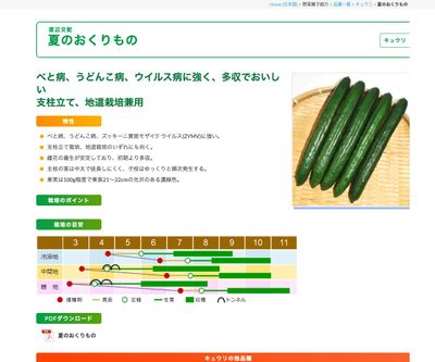 夏のおくりものの画像