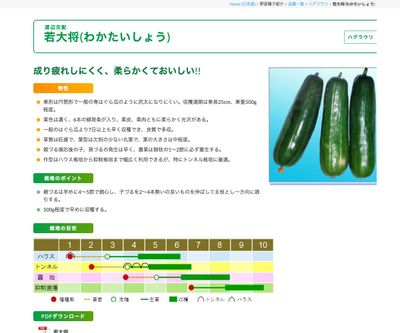 若大将(わかたいしょう)の画像