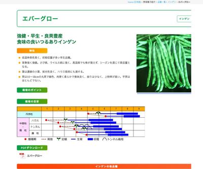 エバーグローの画像
