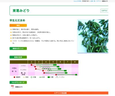 東葛みどりの画像