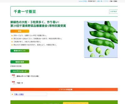 千倉一寸蚕豆の画像