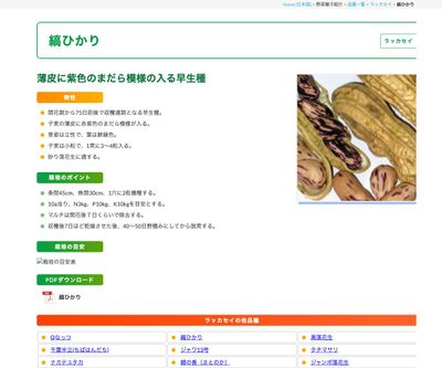 縞ひかりの画像