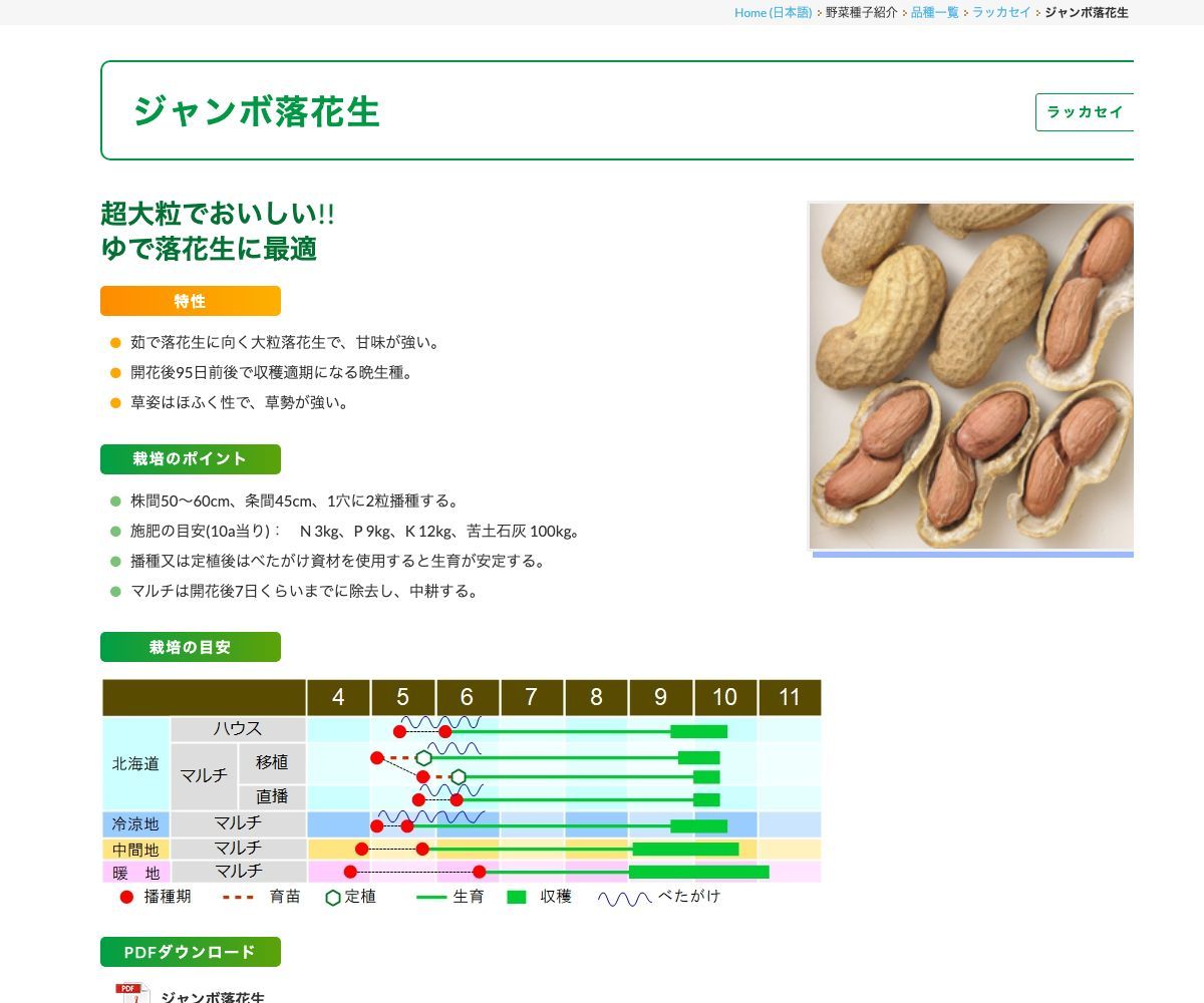ジャンボ落花生