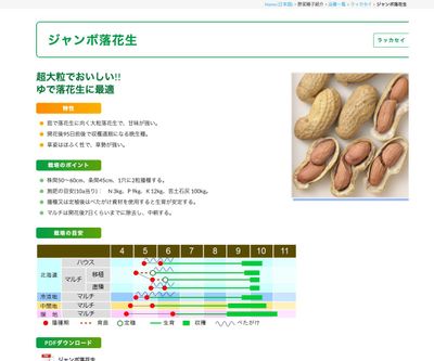 ジャンボ落花生の画像