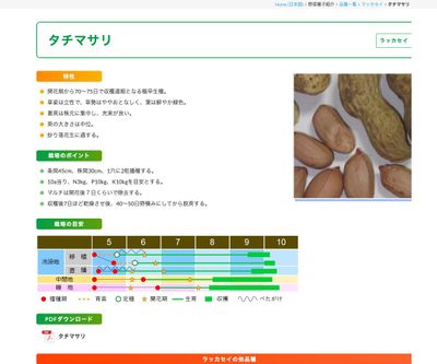 タチマサリの画像