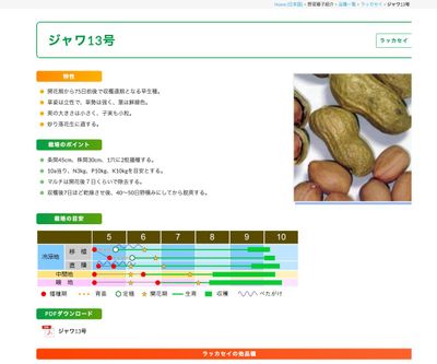 ジャワ13号の画像