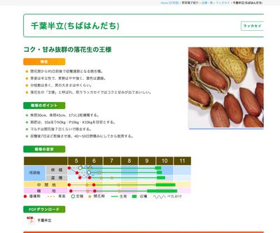 千葉半立(ちばはんだち)の画像