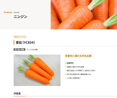 愛紅（YC804）の画像