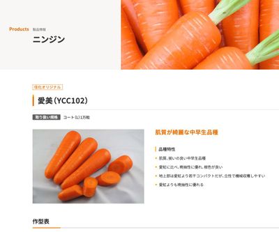 愛美（YCC102）の画像