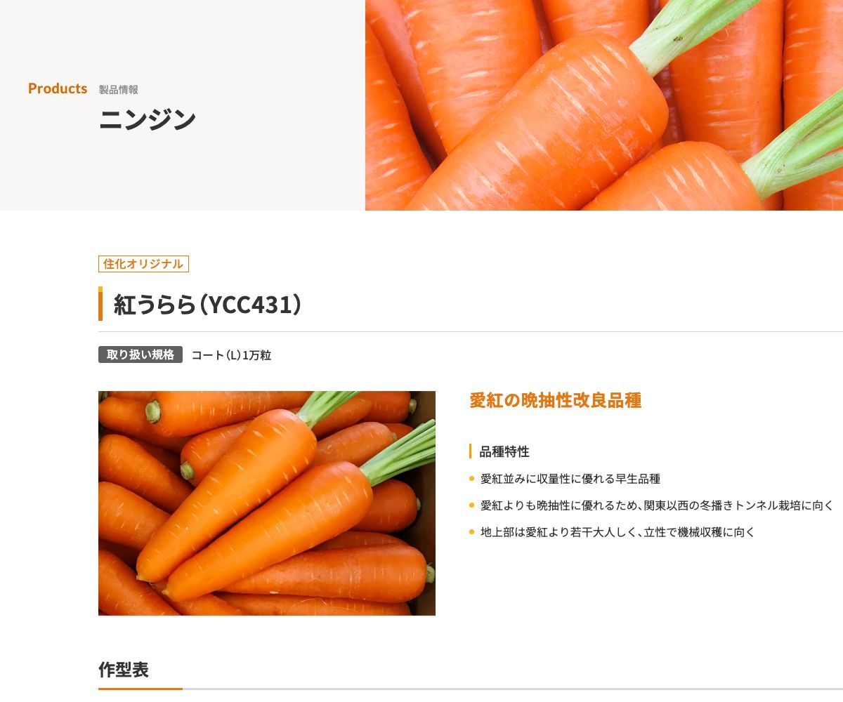 紅うらら（YCC431）