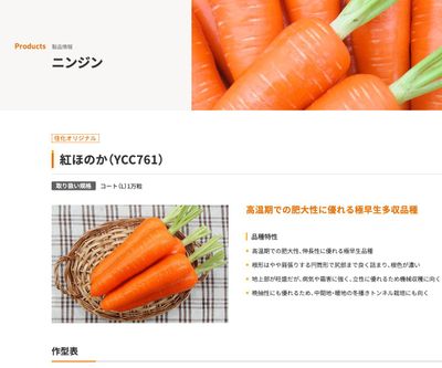 紅ほのか（YCC761）の画像