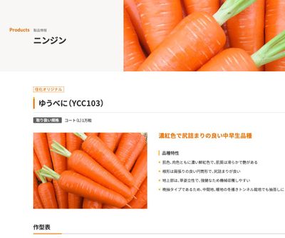 ゆうべに（YCC103）の画像