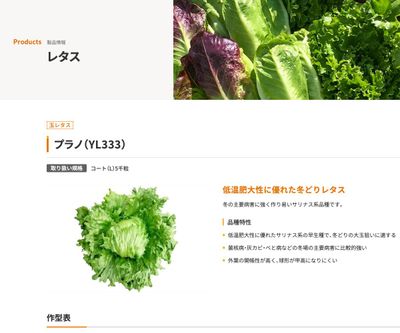 プラノ（YL333）の画像