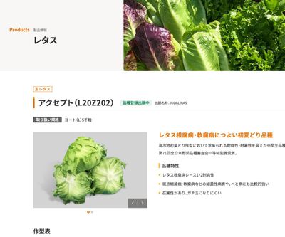 アクセプト（L20Z202）の画像