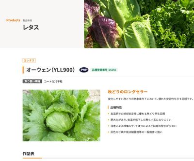 オーウェン（YLL900）の画像