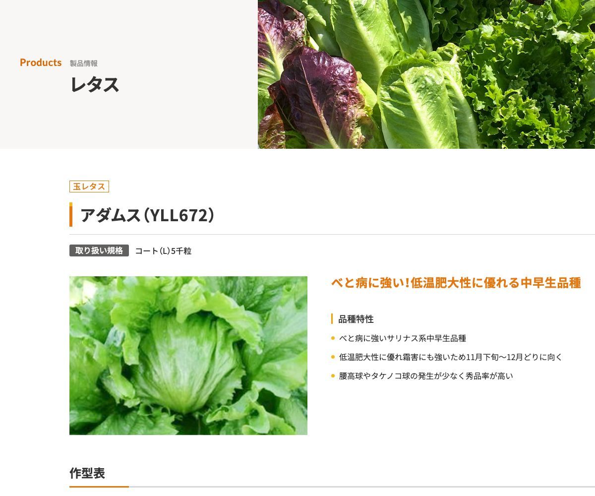 アダムス（YLL672）