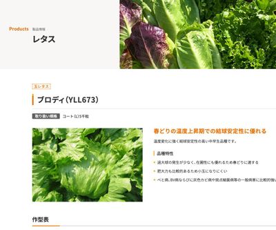 ブロディ（YLL673）の画像