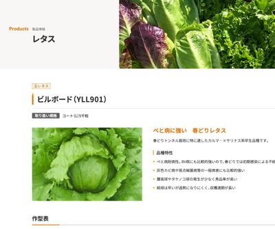 ビルボード（YLL901）の画像