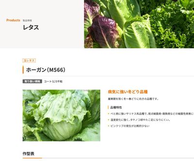 ホーガン（M566）の画像