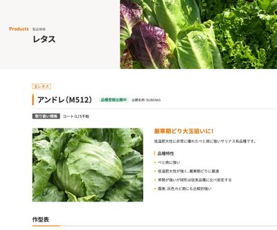 アンドレ（M512）の画像