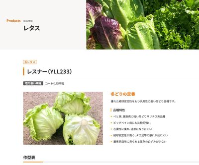 レスナー（YLL233）の画像