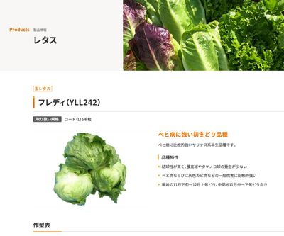 フレディ（YLL242）の画像