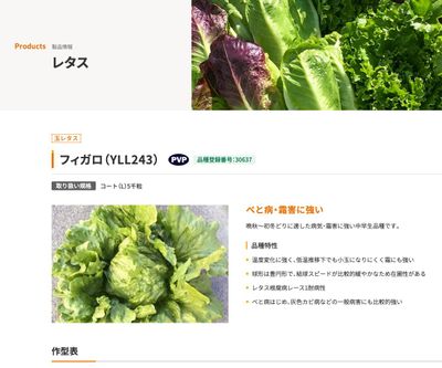 フィガロ（YLL243）の画像