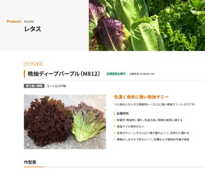 晩抽ディープパープル（M812）の画像