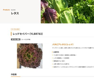 レッドセイバー（YLBR783）の画像