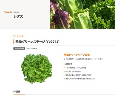 晩抽グリーンステージ（YLG241）の画像