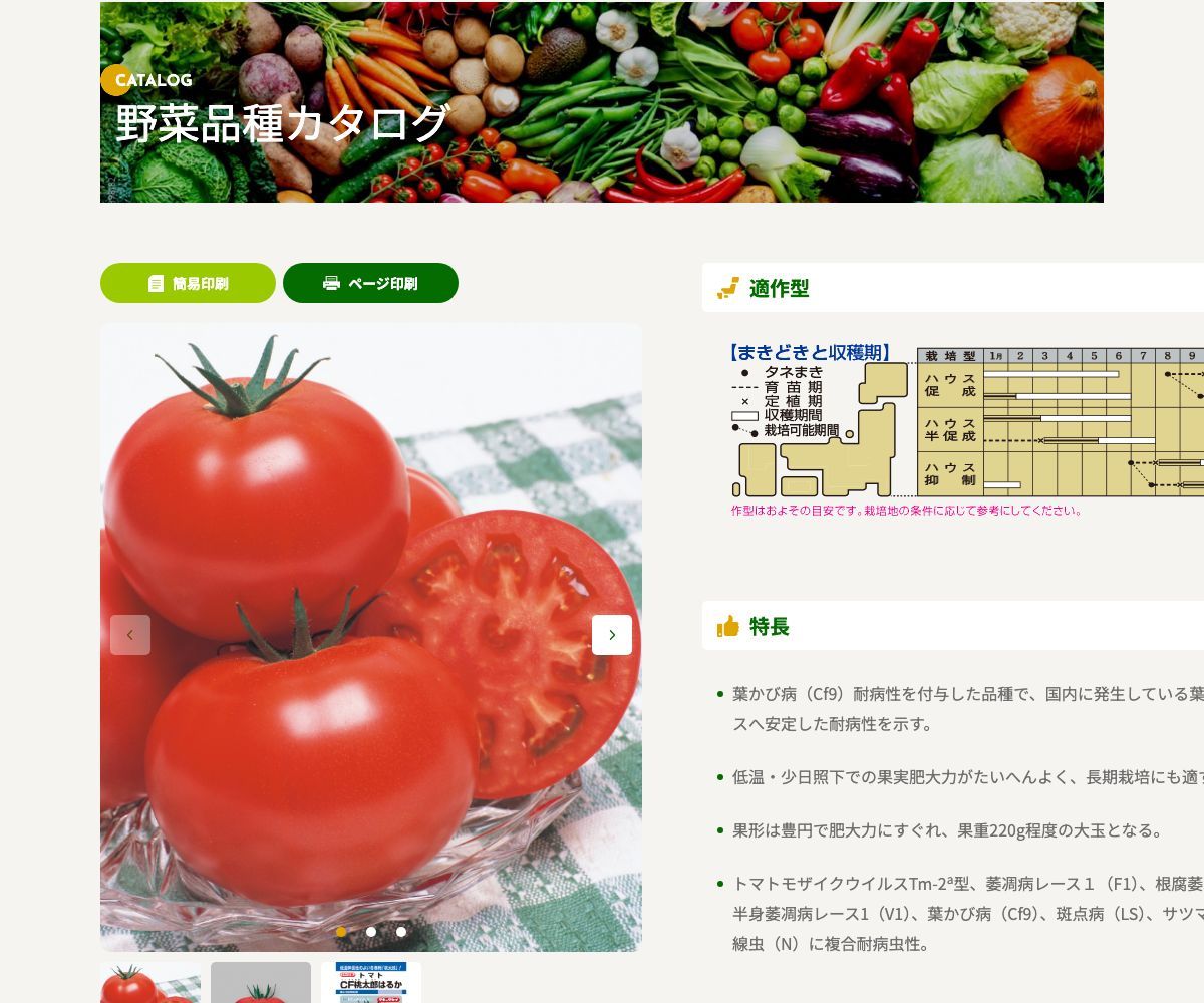 CF桃太郎はるか