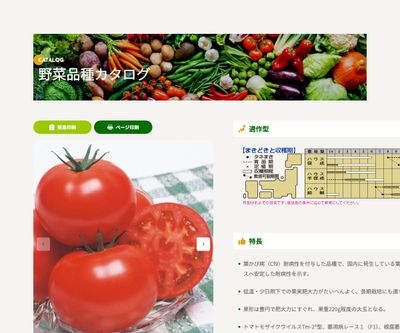 CF桃太郎はるかの画像