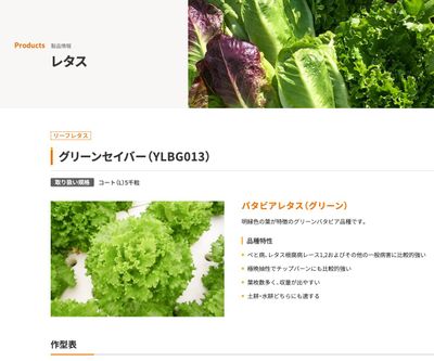 グリーンセイバー（YLBG013）の画像