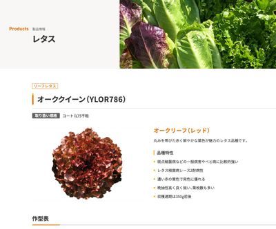 オーククイーン（YLOR786）の画像