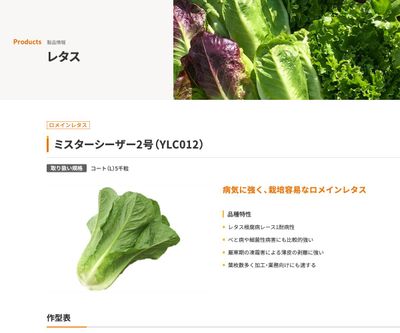 ミスターシーザー2号（YLC012）の画像