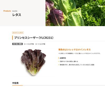 プリンセスシーザー（YLCR231）の画像