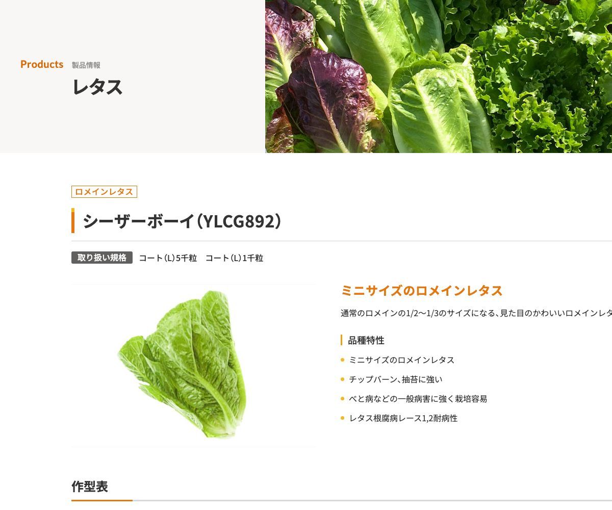 シーザーボーイ（YLCG892）