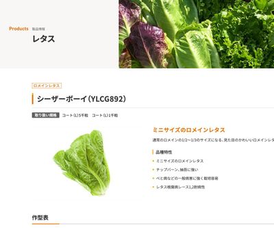 シーザーボーイ（YLCG892）の画像