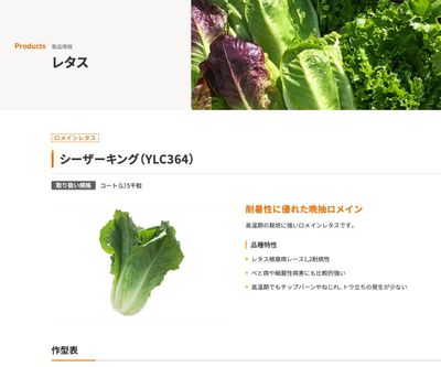 シーザーキング（YLC364）の画像