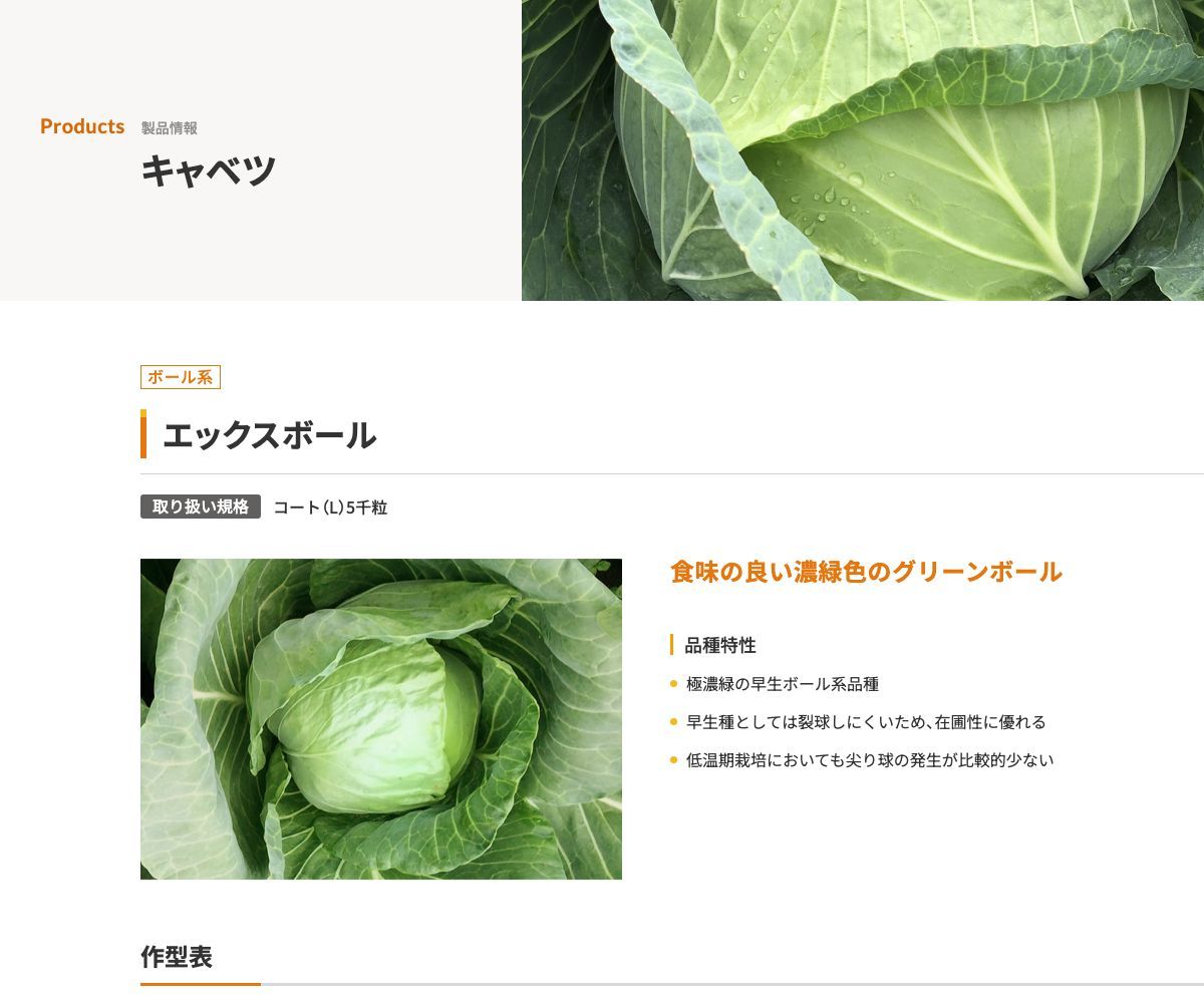 エックスボール