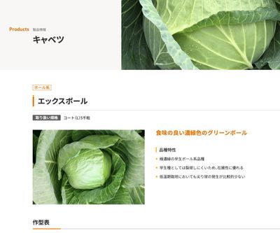 エックスボールの画像