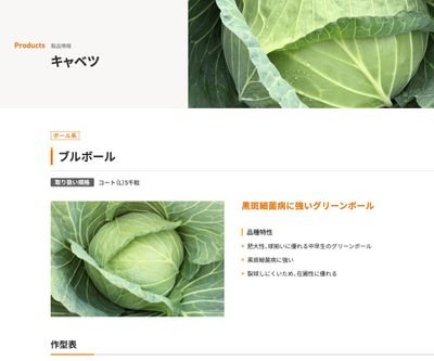 ブルボールの画像