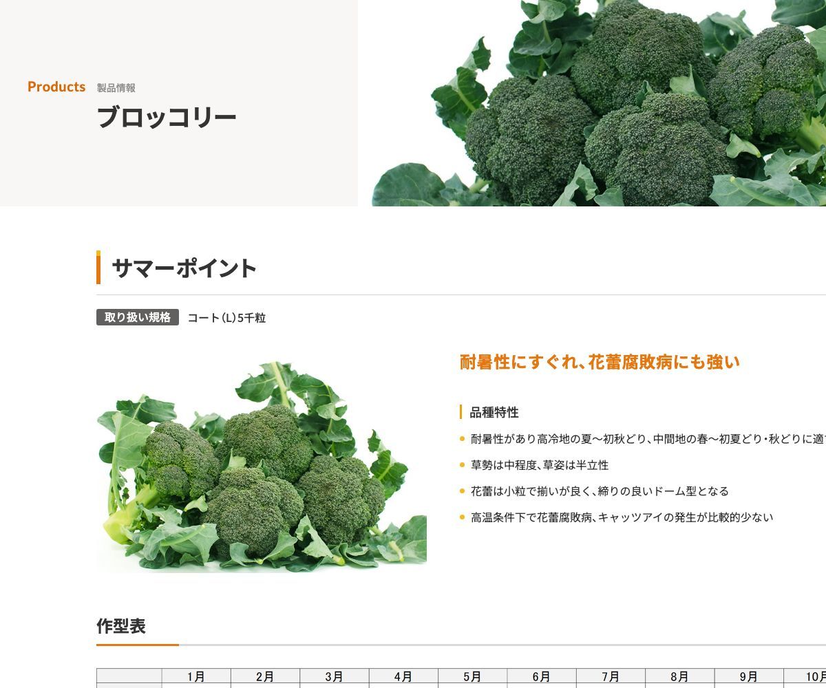 サマーポイント