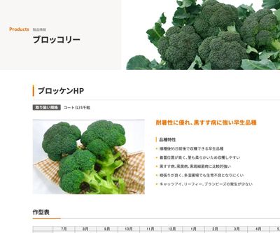 ブロッケンHPの画像