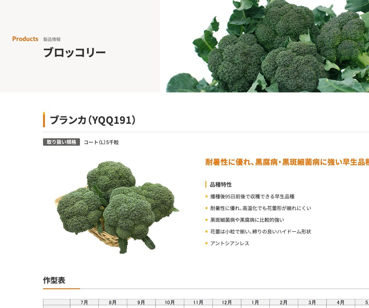 ブランカ（YQQ191）