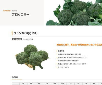 ブランカ（YQQ191）の画像