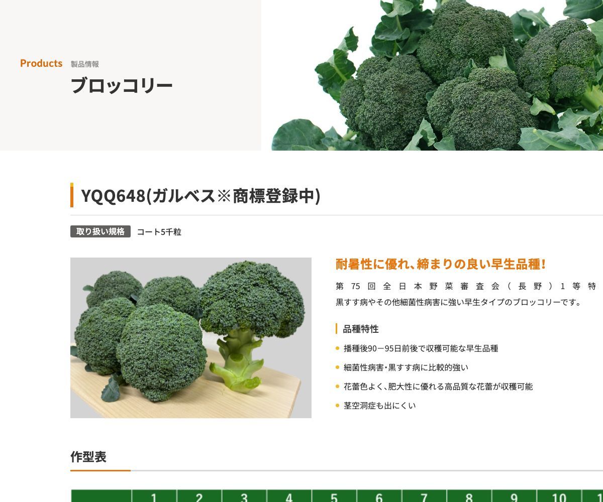 YQQ648(ガルベス※商標登録中)