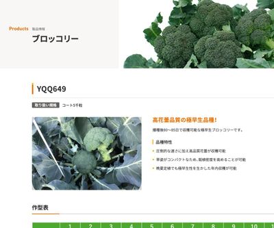 YQQ649の画像